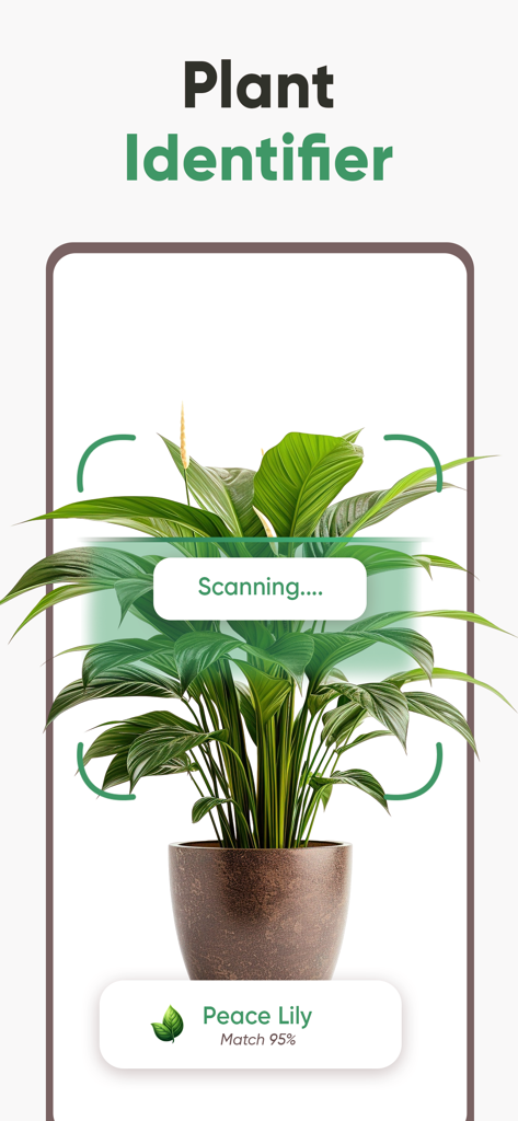 Plant ID: Plant Identifier AI - Eine mobile App-Oberfläche, die eine Topfpflanze (Einblatt) scannt, um sie mit 95%iger Genauigkeit zu identifizieren.