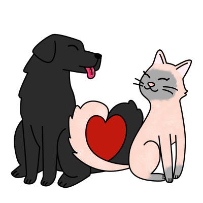 animals_22