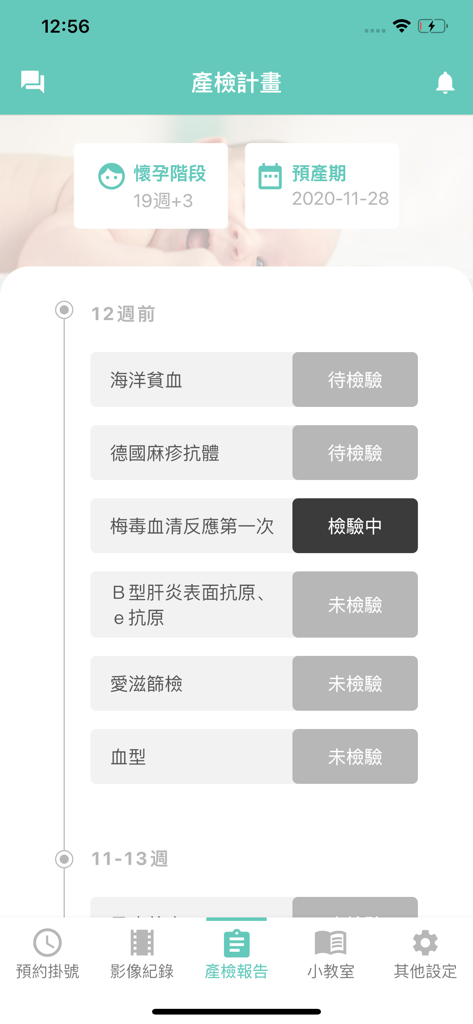 孕安小幫手 - Prenatal care plan screen in the Pregnancy Safety Assistant app showing test results and pregnancy progress