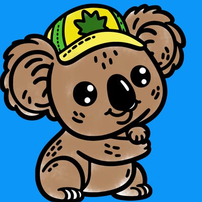 a koala with the australian cap