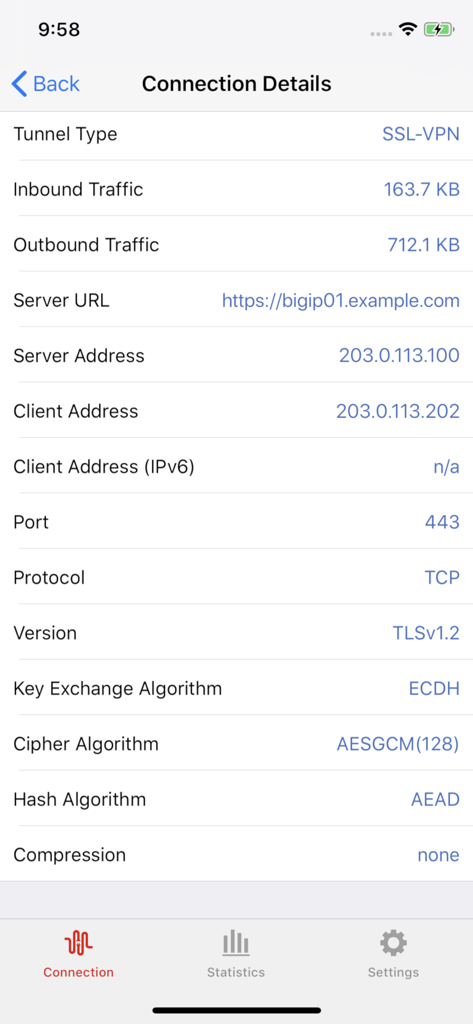 SSL VPNトラフィックとネットワークプロトコルを示すF5 Accessアプリの技術的な接続詳細画面