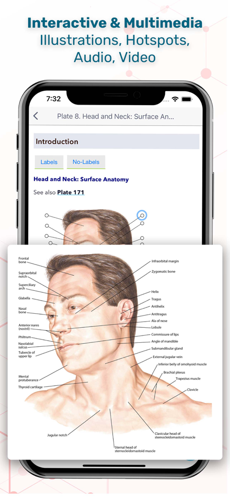 Interactive anatomical diagram of the head and neck with labels in the Skyscape Medical Library app