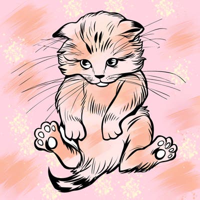 animals_20
