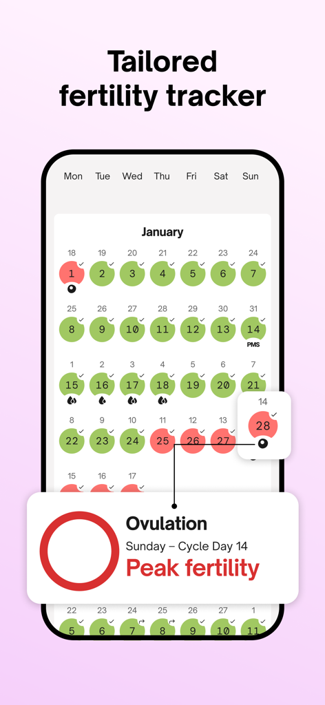 Natural Cycles app interface showing a monthly calendar with green and red circles indicating fertile and non-fertile days and a peak fertility alert.
