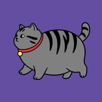 fat cat with stripes on back stubby little legs and his gray