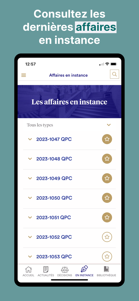 Conseil constitutionnel - List of pending legal cases on the CConstit mobile app interface