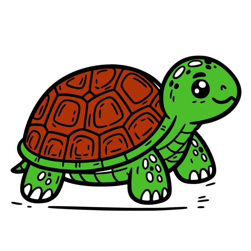 turtle
