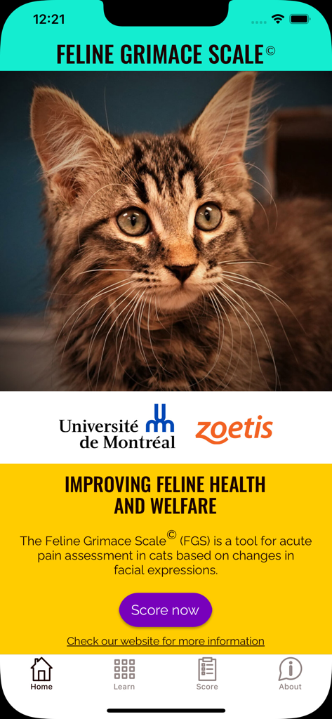 Home screen of the Feline Grimace Scale app featuring a cat photo and a Score Now button