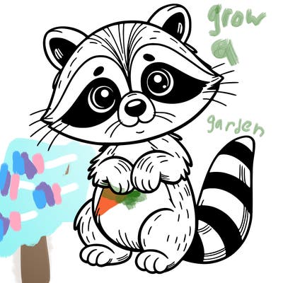 raccoon