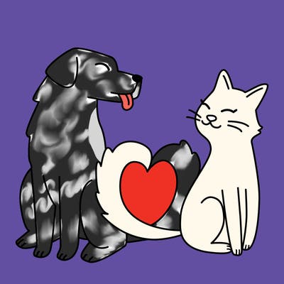 animals_22