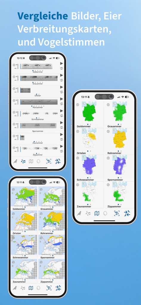 Interfaccia dell'app NABU Vogelwelt che mostra confronti di canti di uccelli e mappe di distribuzione