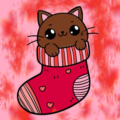cute cat in a sock