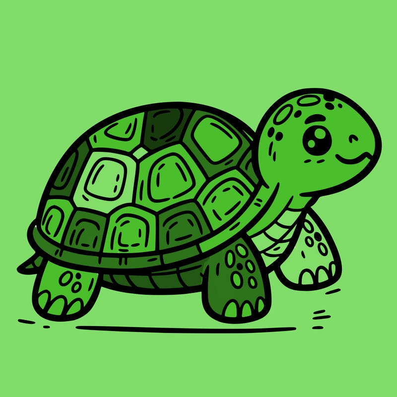turtle