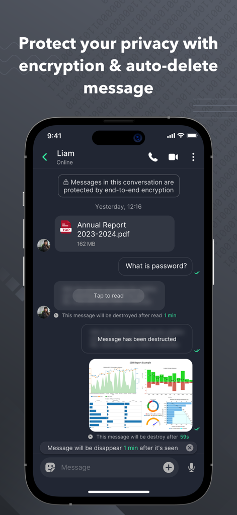 Signet - Signet app interface showing end-to-end encrypted chat with auto-deleting messages and professional document sharing.
