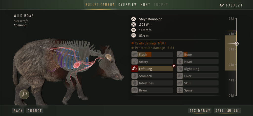 Anatomical shot analysis of a wild boar in the Way of the Hunter Wild Europe bullet camera view.