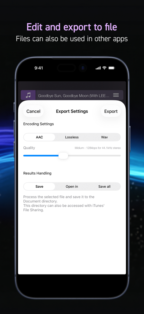 PSOFT Audio Player - La pantalla de configuración de exportación de la aplicación PSOFT Audio Player mostrando varias opciones de codificación
