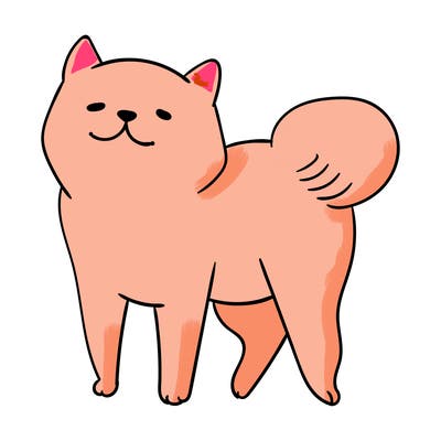 animals_29