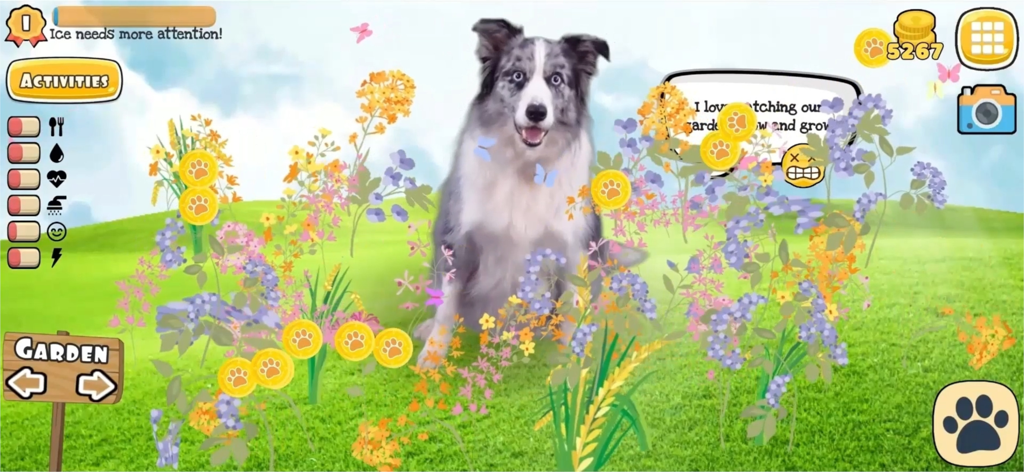 Fruwee: Virtual Pet Dog Games - Um border collie da vida real sentado em um jardim digital com flores coloridas e elementos de interface de jogo do aplicativo Fruwee.
