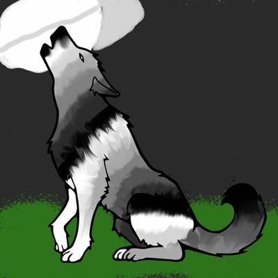 animals_36