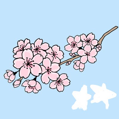 japan_week_08