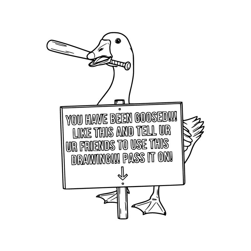 a real goose holding a bat in it's mouth with a sign saying you have been goosed!!!! like this and tell ur friends to use this drawing!!!! pass it on!!