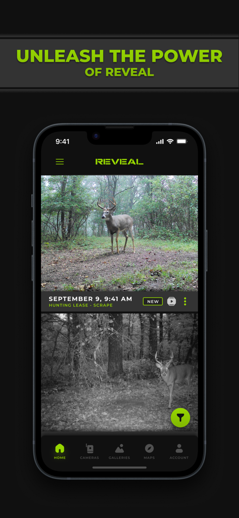Tactacam REVEAL mobile app home screen displaying daytime and nighttime photos of deer captured by a cellular trail camera.