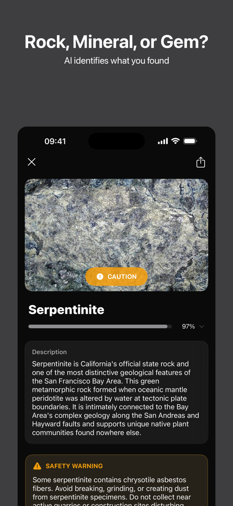 Rockr AI: Rock Identifier - Rockr AI App-Bildschirm zeigt Serpentinit-Identifizierung mit einer Sicherheitswarnung