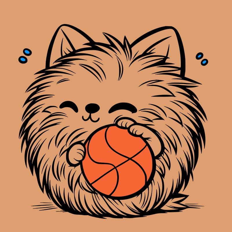 fur ball