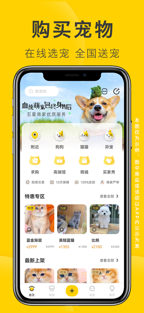 买只宠物-宠物市场买猫买狗卖猫卖狗宠物交易平台猫狗翻译器 - Home screen of the Buy a Pet mobile app featuring various cat and dog breeds for sale with price listings and category icons.