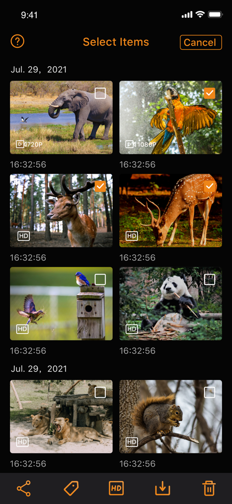 WingHomeCam: 4G Tra - WingHomeCam app gallery interface showing multiple wildlife photos and videos for selection including deer, pandas, and lions.