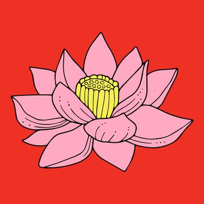 flowers_08