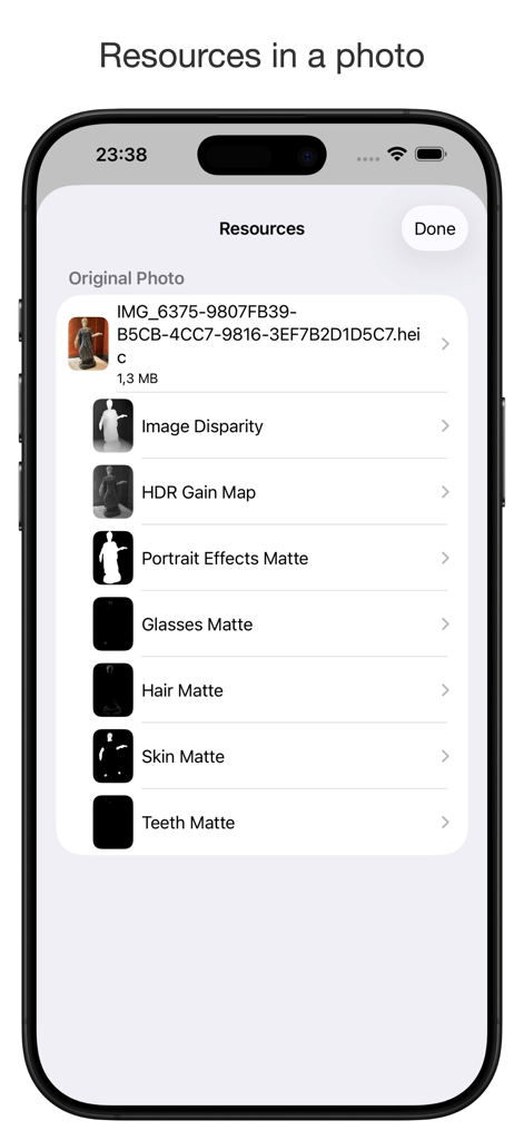 PhotInfo - PhotInfo 앱 인터페이스로, HDR 이득 맵 및 이미지 매트와 같은 사진 리소스를 표시합니다.