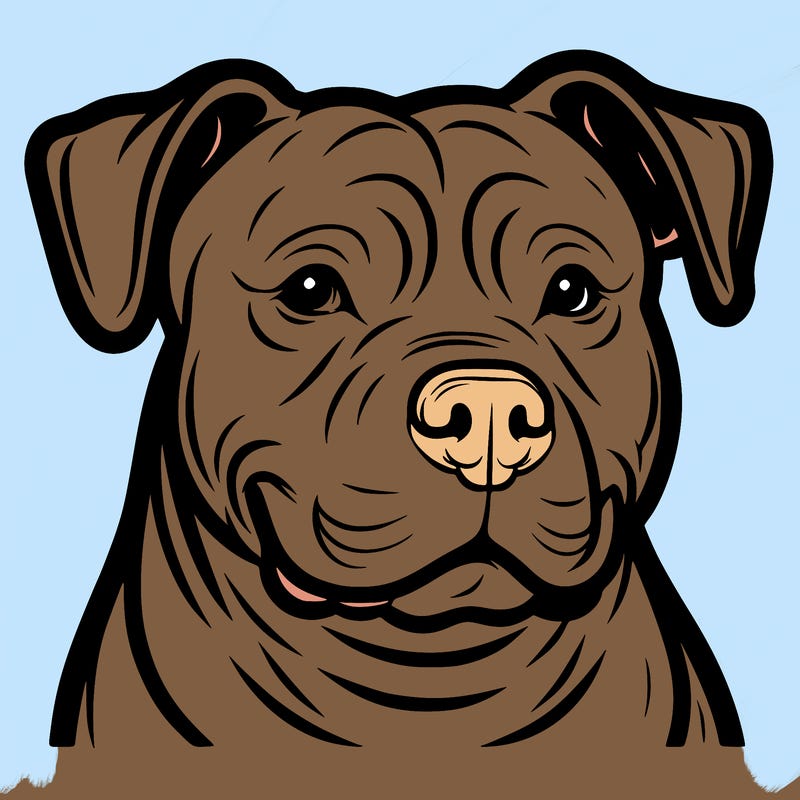 pitbull