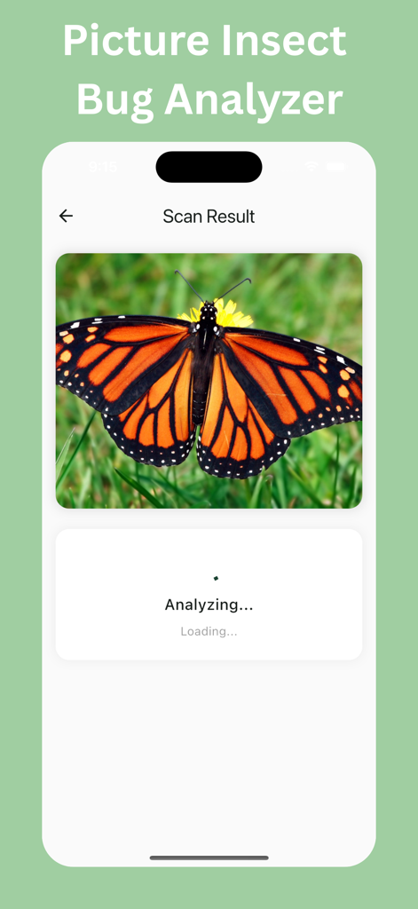 Butterfly Identifier: Photo ID - Butterfly Identifier app screen analyzing a photo of a Monarch butterfly to identify the species