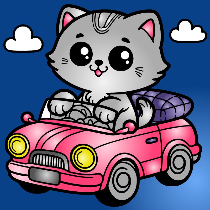 kitten in a car