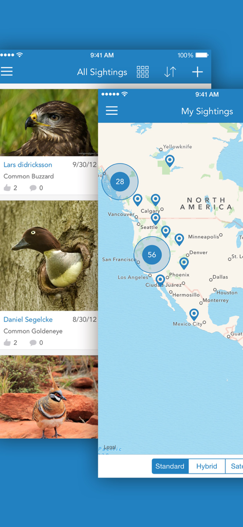 iKnow Birds 2 PRO - Europe - Bird sightings list and GPS map tracking interface in the iKnow Birds 2 PRO app