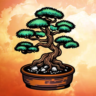 japan bonsai