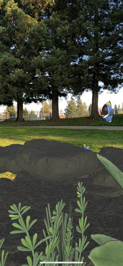 Magic Fish AR - A 3D augmented reality blue fish floating in a real-world park with trees and grass