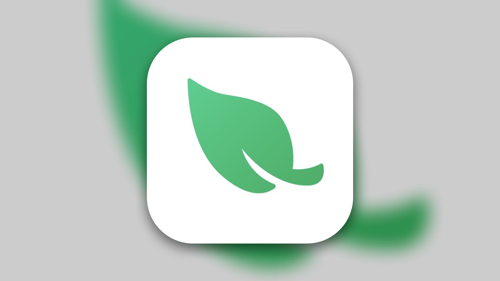 Leaf VPN - Utilities App | MWM