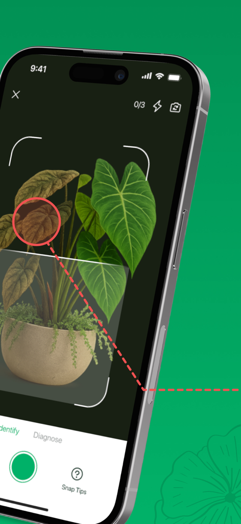 Plant ID - AI Identify Plants - Pantalla de smartphone que muestra la aplicación Plant ID escaneando una hoja para diagnóstico de salud