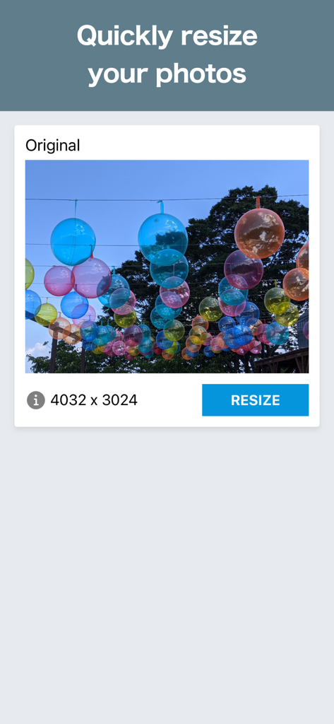 A screenshot of the Photo Resizer app interface showing an original image with its dimensions and a resize button