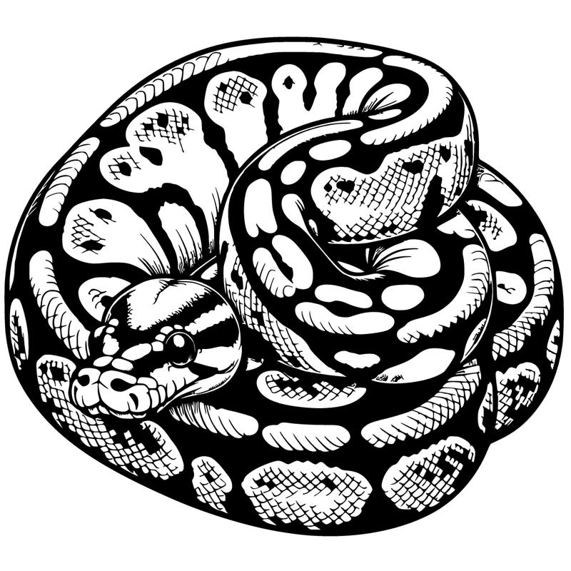 realistic ball python