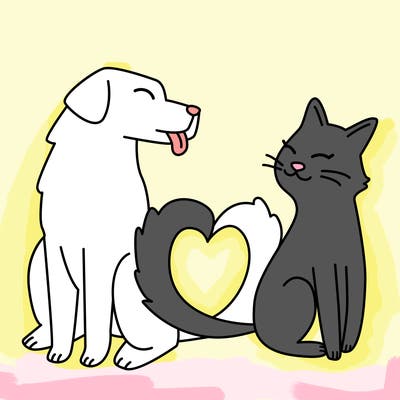animals_22