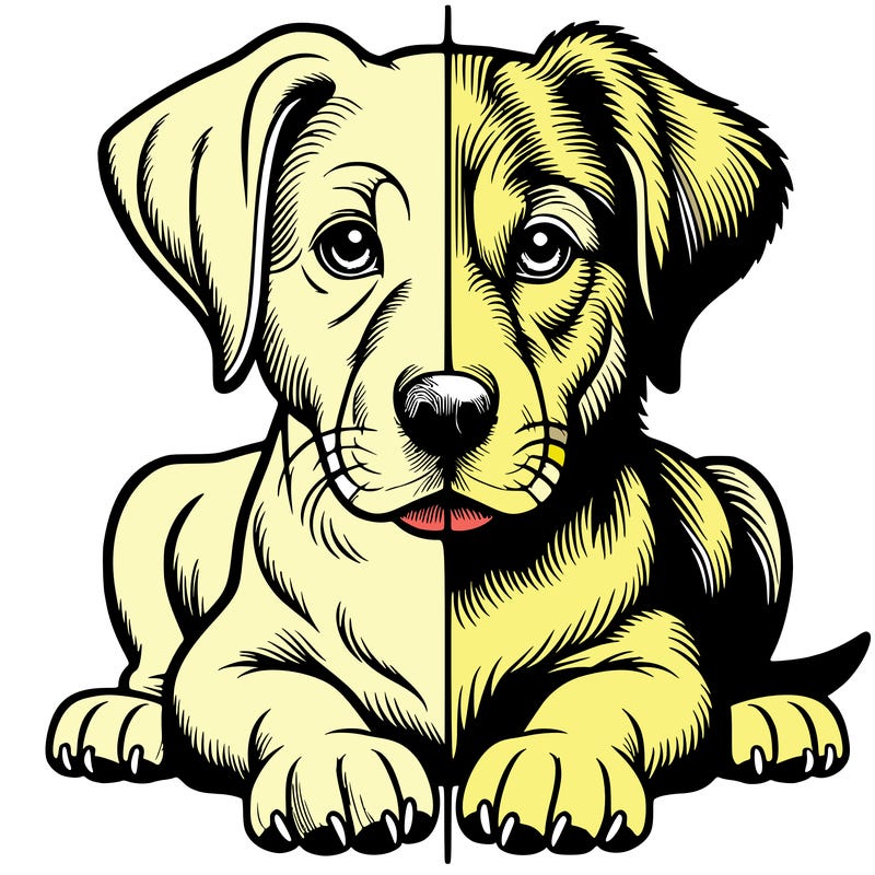 realistic dog split picture