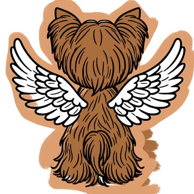 the back of a yorkshire terrier with wings