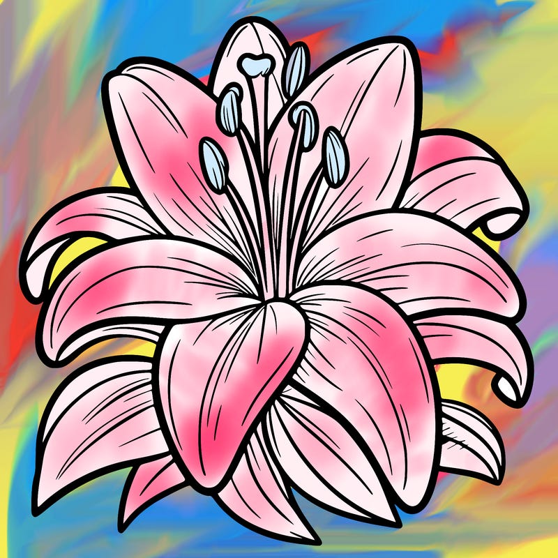 lily