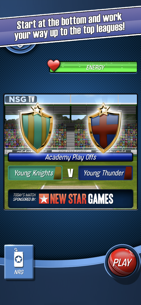 Pantalla del partido de Playoffs de Academia en el juego móvil New Star Cricket