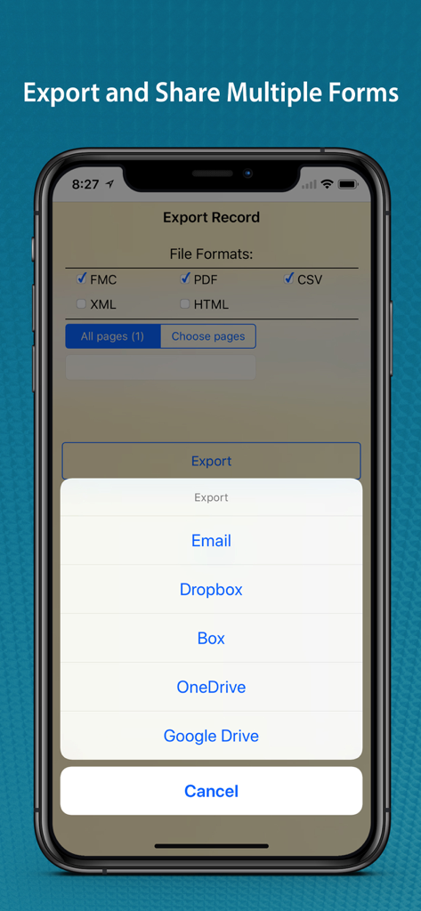 FormConnect Pro app interface on iPhone displaying file export formats and cloud storage sharing options.