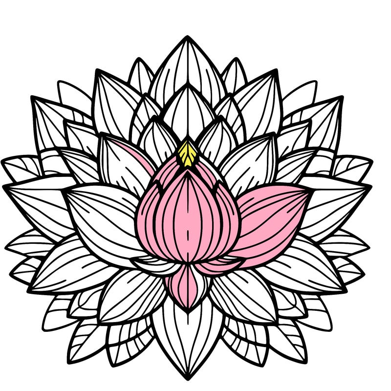 lotus flower mandala