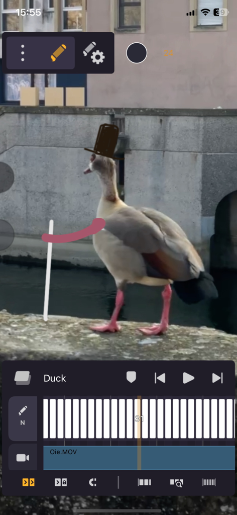 Animation interface showing a hand drawn top hat and accessories being added to a real life video of a duck